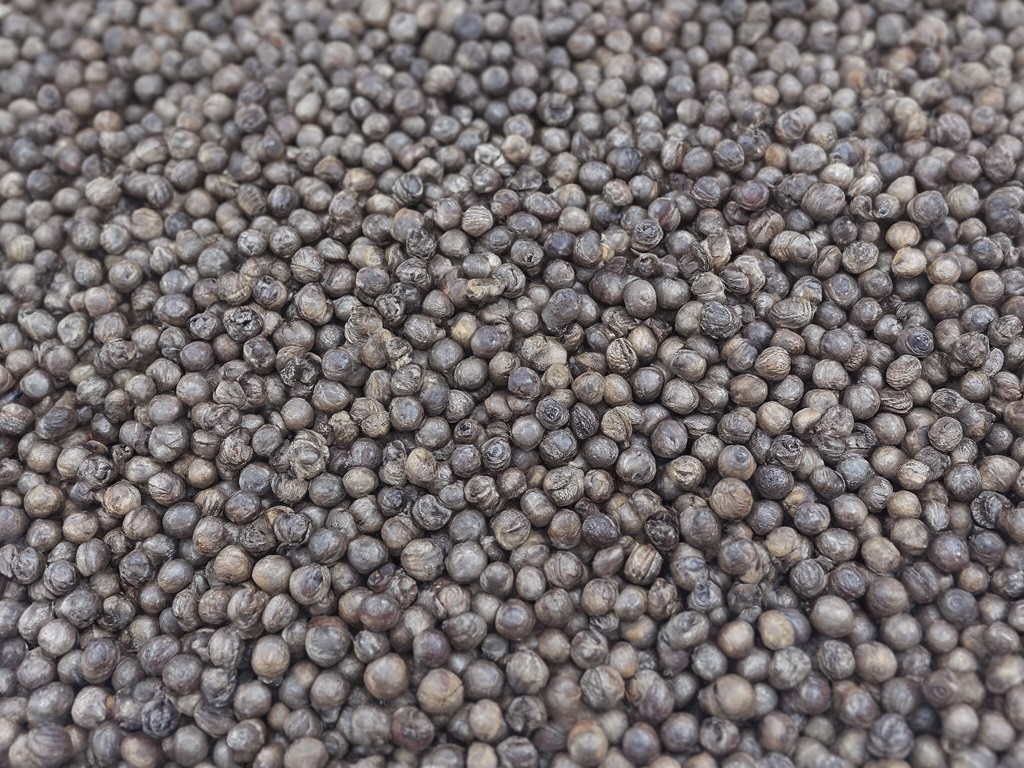 Top Quality Bsf Dome Nuts Producer